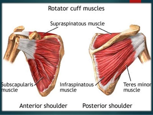 MRI of the shoulder