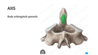 Magnetic resonance Imaging SPINE ANATOMY.pptx