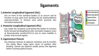 MRI Technique For Spine cervical thoracic and lumbar pptx | PPTX