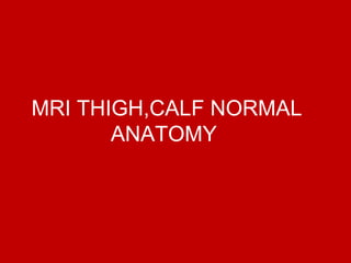 MRI THIGH,CALF NORMAL
ANATOMY
 