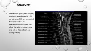 Cd Spine Example Magnetic Imaging Resonance TOTAL SPINE....pptx