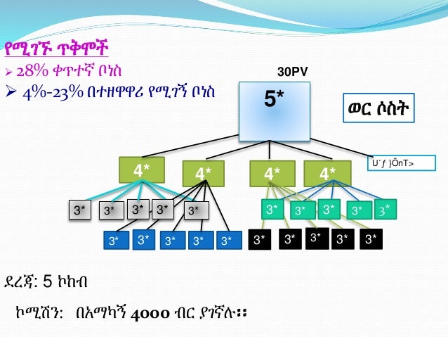 Tiens bonus calculation image