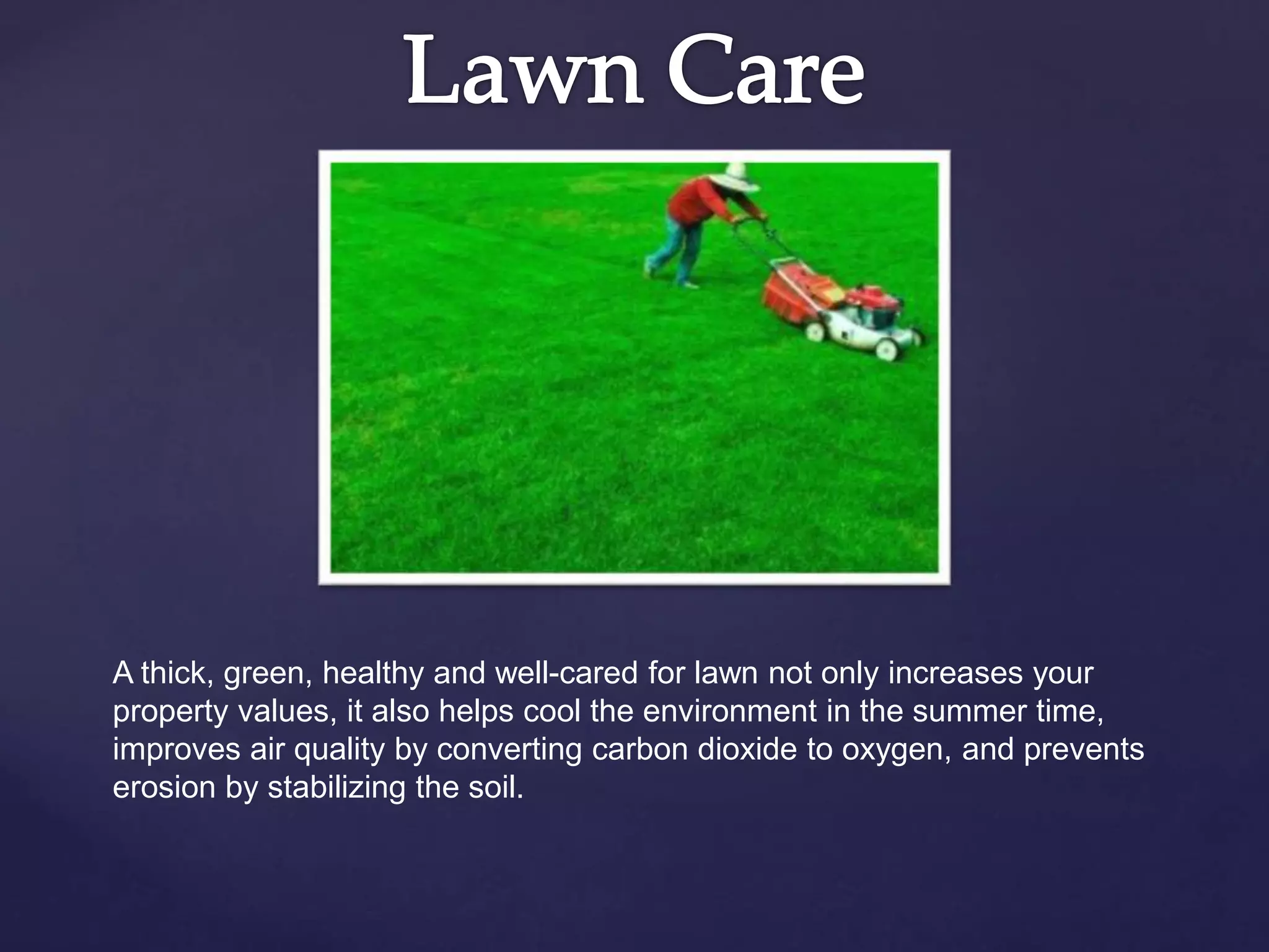 A thick, green, healthy and well-cared for lawn not only increases your
property values, it also helps cool the environment in the summer time,
improves air quality by converting carbon dioxide to oxygen, and prevents
erosion by stabilizing the soil.
 