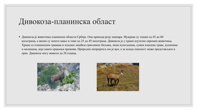 Биљни и животињски свет Србије