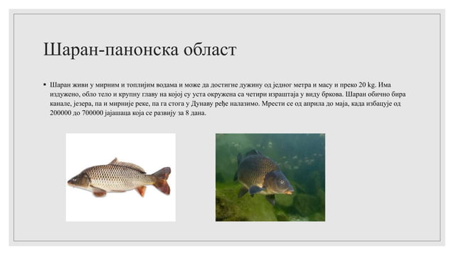 Биљни и животињски свет Србије