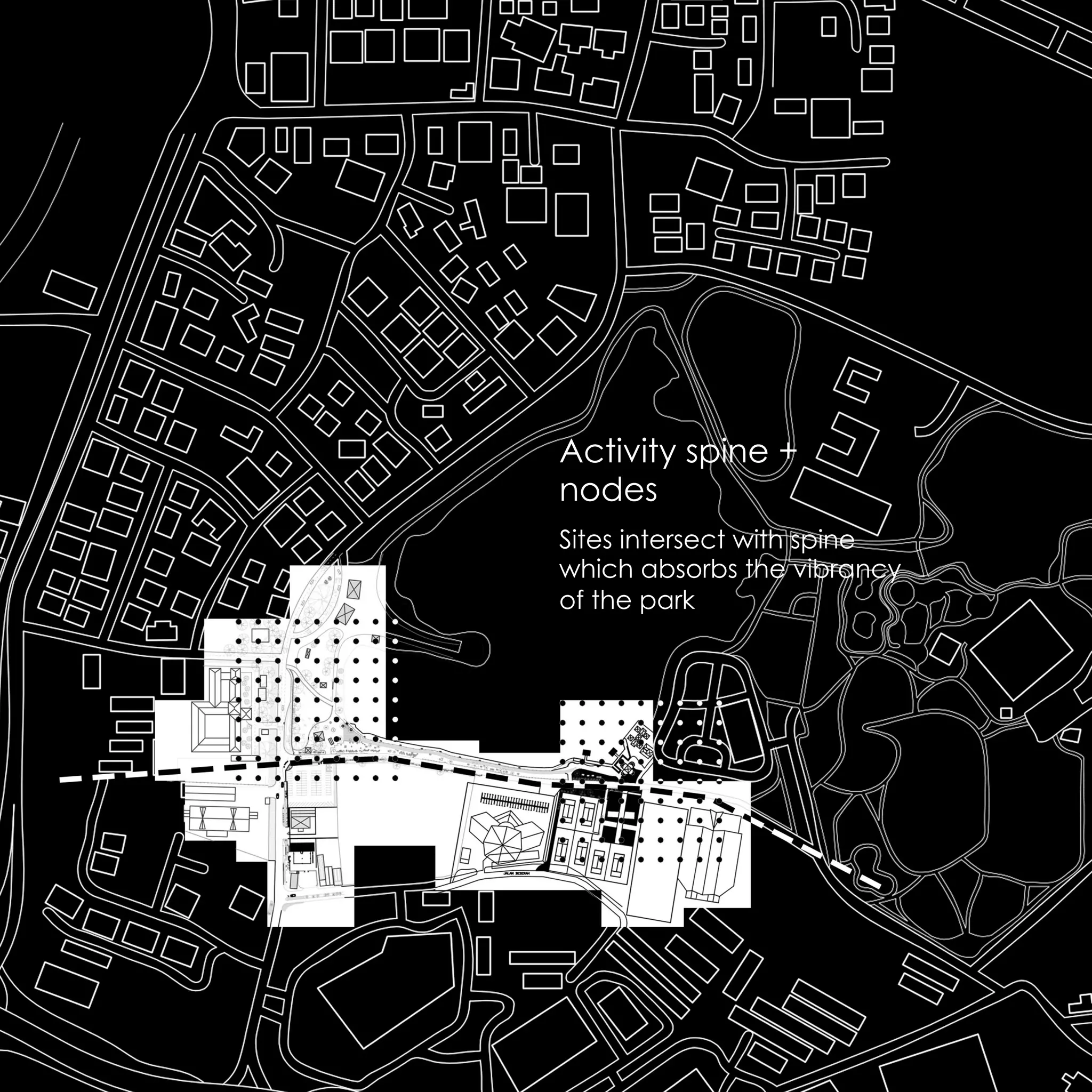 Activity spine +
nodes
Sites intersect with spine
which absorbs the vibrancy
of the park
 