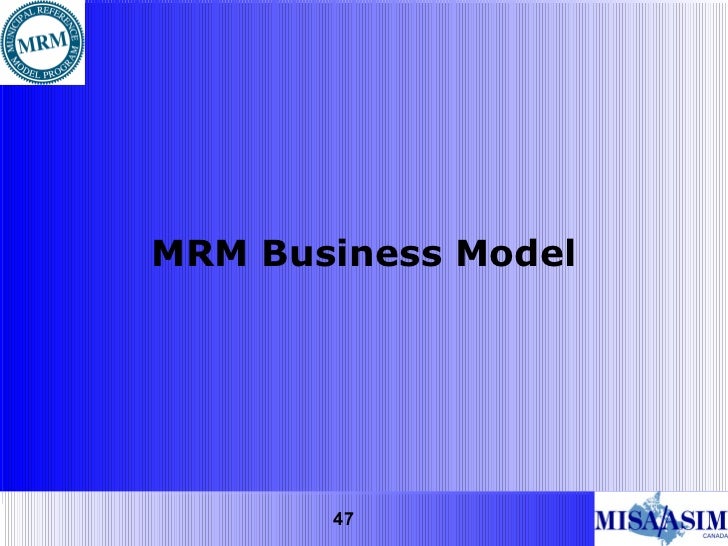 MRM Overview December 2011