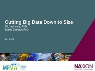 Cutting Big Data Down to Size
Michael Kelly, PhD
Elaine Zanutto, PhD
July, 2016
 