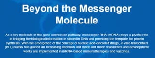 mRNA molecule as research tools