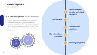  In Vitro Transcription (IVT)---RNA Purification
After RNA synthesis by in vitro transcription, the purification of
RNA is essential before use. Our platform provide various
purification methods to remove the small molecule and enzyme
reaction components. We are also proud to offer a family of high
performance and easy to use RNA purification kit for all your
RNA workflows.
Phenol/chloroform
extraction and ethanol
precipitation
01
02
03
04
05
Gel purification
Lithium chloride
precipitation
Silica column-based
purification
Chromatography (HPLC)
Areas of Expertise
Our Capabilities
9
 