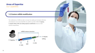 1.2 Custom mRNA modification
The modifications of mRNA are able to increase the stability and translation efficiency
of transfected in vitro-transcribed RNA. Our platform provides mRNA 5‘ Capping,
3’ poly(A) tailing, UTRs and coding sequence modification service to meet
customer requirements.
mRNA mature structure
3′ Poly(A)
tailing
5′ Capping
3′ UTR
5′ UTR
ORF
Areas of Expertise
Our Capabilities
11
 