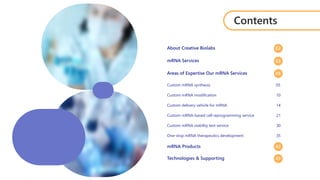 About Creative Biolabs
mRNA Services
Areas of Expertise Our mRNA Services
Custom mRNA synthesis
Custom mRNA modification
Custom delivery vehicle for mRNA
Custom mRNA-based cell reprogramming service
Custom mRNA stability test service
One-stop mRNA therapeutics development
mRNA Products
Technologies & Supporting
02
03
04
05
10
14
21
30
35
42
43
Contents
 