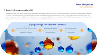 B cells are at the center of the adaptive humoral immune system and are responsible for producing and secreting a particular immunoglobulin. Transfection with mRNAs has been broadly used
for delivery of costimulatory molecules, cytokines and antigen to modulate antigen presentation and immune stimulation functions of B cells. The activated B cells have been shown to be a
potential substitute for dendritic cells (DC) as a vaccine adjuvant in immunotherapy. Creative Biolabs is able to provide custom mRNA-based B cell reprogramming service by co-transfection of
multiple mRNAs encoding immune stimulatory molecules and endow these cells with the ability to induce adaptive immune responses.
 Custom B cell reprogramming by mRNA
Reprogramming B cells with mRNA---Workflow
mRNA selection
(costimulatory molecules, cytokines, antigen )
Purification of IVT mRNA
B-cell isolation & expansion
RNA electroporation
Gene expression analysis
Flow cytometry
Areas of Expertise
Our Capabilities
23
 