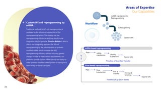 mRNA-based reprogramming
Virus-based reprogramming
Plate mRNA
transfection Identify
& Selection Expand cells
Plate Virus
transduction Pick &
Transfer Cloning &
Selecting
Expand cells
Timeline of up to 25 weeks
Timeline of less than 9 weeks
V
S
mRNA transfection &
Reprogramming
Colony picking
Expand cells
Workflow
Traditional methods for iPS cell reprogramming is
mediated by the retrovirus transduction of the
reprogramming factors. The strategy has low
reprogramming efficiencies and may result in viral
integration into the genome. Creative Biolabs is able to
offer a non-integrating approach for iPS cell
reprogramming by the administration of synthetic
modified mRNA, which increases the iPSC
reprogramming efficiency without incurring genetic
change. In order to meet various requirements, our
platforms provide custom mRNA service and ready-to-
order synthetic modified mRNA proven to reprogram a
wide variety of human cell types.
 Custom iPS cell reprogramming by
mRNA
Areas of Expertise
Our Capabilities
25
 