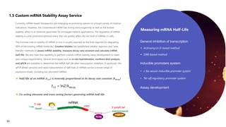 1.5 Custom mRNA Stability Assay Service
Currently, mRNA-based therapeutics are emerging as promising options in a broad variety of medical
indications. However, the conventional mRNA has strong immunogenicity as well as the limited
stability, which is an essential parameter for envisaged medical applications. The regulation of mRNA
stability is a key posttranscriptional event that can greatly affect the net level of mRNAs in cells.
 Cis-acting elements and trans-acting factors governing mRNA half-life
The turnover rate or stability of mRNA in vivo is usually reported as the time required for degrading
50% of the existing mRNA molecules. Creative biolabs has established reliable, rigorous, and “user-
friendly” methods to assess mRNA stability, measure decay rate constant and calculate mRNA
half-life. We also have the capability to perform custom mRNA stability assay development to meet
your unique requirements. Several techniques such as in situ hybridization, northern blot analysis,
and qPCR are available to determine the mRNA half-life after transcription inhibition. In particular, the
qPCR allows sensitive and rapid measurement of half-lives of mRNAs across a broad range of
expression levels, including low abundant mRNAs.
t1∕2 = ln2 ∕ kdecay
 Half-life of an mRNA (t1/2) is inversely proportional to its decay rate constant (kdecay)
Measuring mRNA Half-Life
 Actinomycin D-based method
• c-fos serum-inducible promoter system
• Tet-off regulatory promoter system
Assay development
 DRB-based method
General inhibition of transcription
Inducible promoters system
30
 