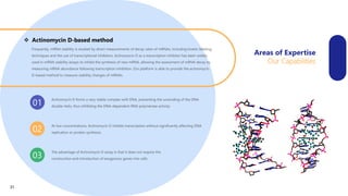 Frequently, mRNA stability is studied by direct measurements of decay rates of mRNAs, including kinetic labeling
techniques and the use of transcriptional inhibitors. Actinomycin D as a transcription inhibitor has been widely
used in mRNA stability assays to inhibit the synthesis of new mRNA, allowing the assessment of mRNA decay by
measuring mRNA abundance following transcription inhibition. Our platform is able to provide the actinomycin
D-based method to measure stability changes of mRNAs.
 Actinomycin D-based method
01
Actinomycin D forms a very stable complex with DNA, preventing the unwinding of the DNA
double-helix, thus inhibiting the DNA-dependent RNA polymerase activity.
At low concentrations, Actinomycin D inhibits transcription without significantly affecting DNA
replication or protein synthesis.
The advantage of Actinomycin D assay is that it does not require the
construction and introduction of exogenous genes into cells
02
03
Areas of Expertise
Our Capabilities
31
 
