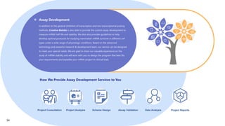  Assay Development
In addition to the general inhibition of transcription and two transcriptional pulsing
methods, Creative Biolabs is also able to provide the custom assay development to
measure mRNA half-life and stability. We also also provides guidelines to help
develop optimal protocols for studying mammalian mRNA turnover in different cell
types under a wide range of physiologic conditions. Based on the advanced
technology and powerful research & development team, our service can be designed
to meet your special needs. We are glad to share our valuable experience on the
study of mRNA stability and will work with you to design the program that best fits
your requirements and expedite your mRNA project to clinical trials.
Project Consultation Project Analysis Scheme Design Assay Validation Data Analysis Project Reports
How We Provide Assay Development Services to You
34
 