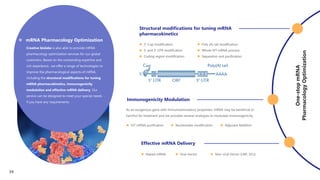 One-stop
mRNA
Pharmacology
Optimization
 mRNA Pharmacology Optimization
Creative biolabs is also able to provide mRNA
pharmacology optimization services for our global
customers. Based on the outstanding expertise and
rich experience, we offer a range of technologies to
improve the pharmacological aspects of mRNA,
including the structural modifications for tuning
mRNA pharmacokinetics, immunogenicity
modulation and effective mRNA delivery. Our
service can be designed to meet your special needs
if you have any requirements.
Structural modifications for tuning mRNA
pharmacokinetics
 5’-Cap modification
 5’ and 3’ UTR modification
 Coding region modification
As an exogenous gene with immunostimulatory properties, mRNA may be beneficial or
harmful for treatment and we provides several strategies to modulate immunogenicity.
 IVT mRNA purification  Nucleosides modification  Adjuvant Addition
Effective mRNA Delivery
 Naked mRNA  Viral Vector  Non-viral Vector (LNP, DCs)
 Poly (A) tail modification
 Whole IVT mRNA process
 Separation and purification
Immunogenicity Modulation
39
 