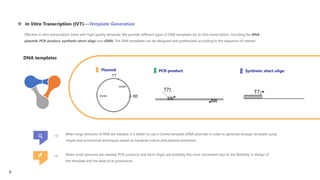  In Vitro Transcription (IVT)---Template Generation
Effective in vitro transcription starts with high-quality template. We provide different types of DNA templates for in vitro transcription, including the DNA
plasmid, PCR-product, synthetic short oligo and cDNA. The DNA templates can be designed and synthesized according to the sequence of interest.
DNA templates
PCR-product Synthetic short oligo
Plasmid
When large amounts of RNA are needed, it is better to use a cloned template (DNA plasmid) in order to generate enough template using
simple and economical techniques based on bacterial culture and plasmid extraction.
When small amounts are needed, PCR-products and short oligos are probably the most convenient due to the flexibility in design of
the template and the ease of its production.
6
 