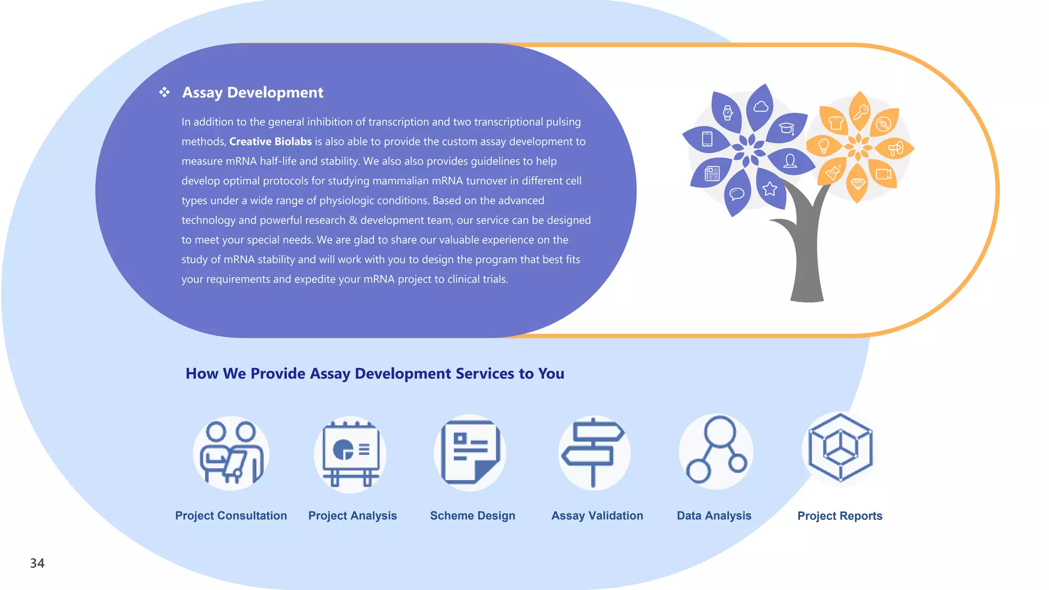 Assay Development | PDF