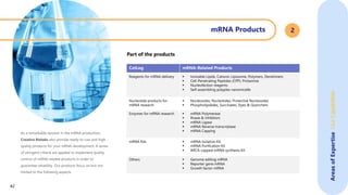 As a remarkable servicer in the mRNA production,
Creative Biolabs also provide ready-to-use and high
quality products for your mRNA development. A series
of stringent criteria are applied to implement quality
control of mRNA-related products in order to
guarantee reliability. Our products focus on but not
limited to the following aspects.
Part of the products
CatLog mRNA-Related Products
Reagents for mRNA delivery  Ionizable Lipids, Cationic Liposome, Polymers, Dendrimers
 Cell-Penetrating Peptides (CPP), Protamine
 Nucleofection reagents
 Self-assembling polyplex nanomicelle
Nucleotide products for
mRNA research
 Nucleosides, Nucleotides, Protective Nucleosides
 Phospholipidides, Succinates, Dyes & Quenchers
Enzymes for mRNA research  mRNA Polymerase
 Rnase & Inhibitors
 mRNA Ligase
 mRNA Reverse transcriptase
 mRNA Capping
mRNA Kits  mRNA Isolation Kit
 mRNA Purification Kit
 ARCA-capped mRNA synthesis Kit
Others  Genome editing mRNA
 Reporter gene mRNA
 Growth factor mRNA
mRNA Products 2
Areas
of
Expertise
Our
Capabilities
42
 