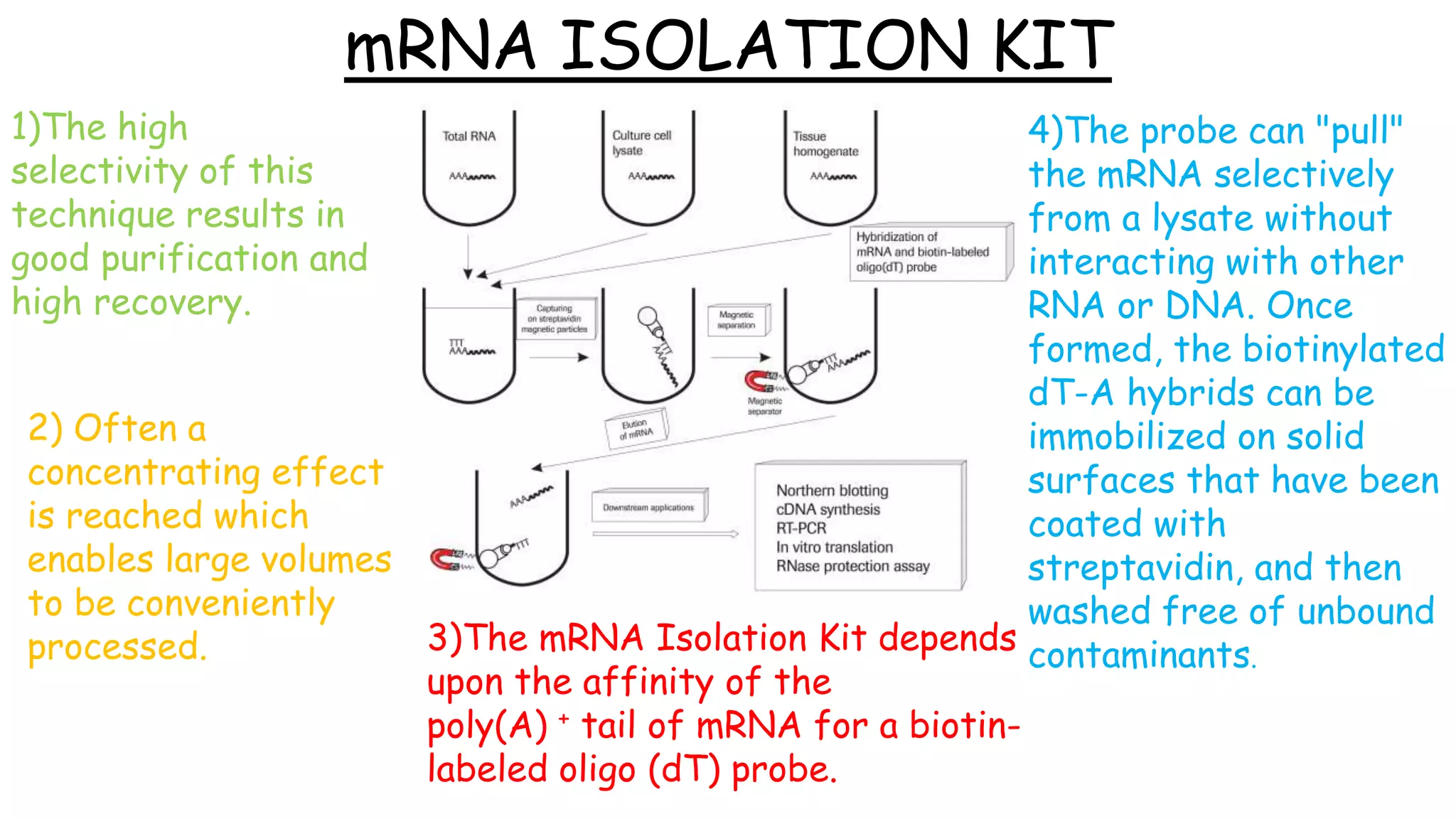 mRNA ISOLATION KIT
1)The high
selectivity of this
technique results in
good purification and
high recovery.
4)The probe can "pull"
the mRNA selectively
from a lysate without
interacting with other
RNA or DNA. Once
formed, the biotinylated
dT-A hybrids can be
immobilized on solid
surfaces that have been
coated with
streptavidin, and then
washed free of unbound
contaminants.
3)The mRNA Isolation Kit depends
upon the affinity of the
poly(A) + tail of mRNA for a biotin-
labeled oligo (dT) probe.
2) Often a
concentrating effect
is reached which
enables large volumes
to be conveniently
processed.
 