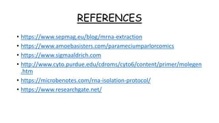 REFERENCES
• https://www.sepmag.eu/blog/mrna-extraction
• https://www.amoebasisters.com/parameciumparlorcomics
• https://www.sigmaaldrich.com
• http://www.cyto.purdue.edu/cdroms/cyto6/content/primer/molegen
.htm
• https://microbenotes.com/rna-isolation-protocol/
• https://www.researchgate.net/
 