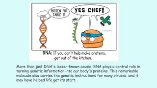 More than just DNA's lesser-known cousin, RNA plays a central role in
turning genetic information into our body's proteins. This remarkable
molecule also carries the genetic instructions for many viruses, and it
may have helped life get its start.
 