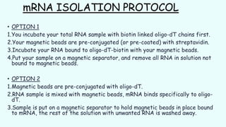 mRNA ISOLATION PROTOCOL
• OPTION 1
1.You incubate your total RNA sample with biotin linked oligo-dT chains first.
2.Your magnetic beads are pre-conjugated (or pre-coated) with streptavidin.
3.Incubate your RNA bound to oligo-dT-biotin with your magnetic beads.
4.Put your sample on a magnetic separator, and remove all RNA in solution not
bound to magnetic beads.
• OPTION 2
1.Magnetic beads are pre-conjugated with oligo-dT.
2.RNA sample is mixed with magnetic beads, mRNA binds specifically to oligo-
dT.
3.Sample is put on a magnetic separator to hold magnetic beads in place bound
to mRNA, the rest of the solution with unwanted RNA is washed away.
 