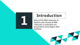 1
Introduction
Many of the RNA molecules in
bacteria and virtually all RNA
molecules in eukaryotes are
processed to some degree after
synthesis
 