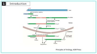 Principles of Virology, ASM Press
1 Introduction
 