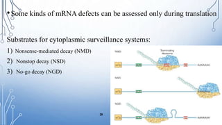 Mrna Stabilization mRNA stability and localization | PPTX