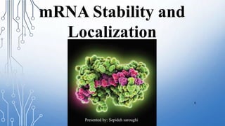 mRNA Stability and
Localization
1
Presented by: Sepideh saroughi
 