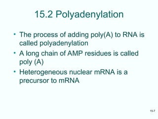 mRNA transcript sythesis from DNA templet.ppt