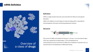 mRNA Definition
Definition
mRNA is a single stranded ribonucleic acid transcribed from DNA and carries genetic
information.
mRNA is the middleman of central dogma of molecular biology, which is responsible for
transmitting genetic information and directly guiding protein synthesis.
Structure
The structure of mRNA can be divided into five parts: 5' end cap, 5' non-transcriptional region
(UTR), open reading frame encoding antigen, 3' UTR, and polyadenine tail.
Understanding the structure and function of mRNA and its metabolism in eukaryotic cells is an
important basis for the development of mRNA-based therapy.
Overview of
a class of drugs
CREATIVE BIOLABS. | WWW.CREATIVE-BIOLABS.COM 03
5’ Cap
5’ UTR 3’ UTR
ORF
AAAA
 