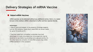 mRNA vaccines can be delivered without any additional carriers, that is, in a naked
format. In this method, mRNA is dissolved in buffer and then injected directly.
Advantages:
1. Easy to store and prepare. In the presence of storage reagents
such as 10% trehalose, freeze-dried naked RNA can remain stable
for up to 10 months at 4℃.
2. Vaccines made from unmodified nucleotides have dual
advantages in innate immunogenicity. Immunogenicity may be
beneficial to vaccination by providing some adjuvant activity. On
the other hand, the activation of some RNA sensors may inhibit
mRNA translation in the cytoplasm.
Naked mRNA Vaccines
Delivery Strategies of mRNA Vaccine
 