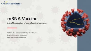 A brief introduction of a novel vaccine technology
mRNA Vaccine
Address: 45-1 Ramsey Road, Shirley, NY 11967, USA
Email: info@creative-biolabs.com
Web: www.creative-biolabs.com
 