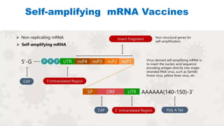 mRNA_VACCINES.pptx