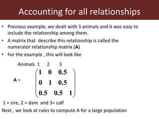 Improving accuracy by using information from relatives—The animal model