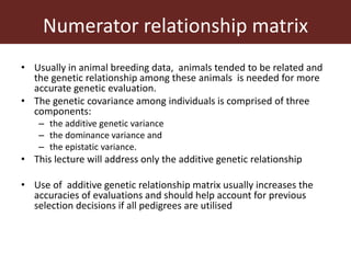 Improving accuracy by using information from relatives—The animal model