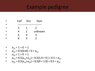 Improving accuracy by using information from relatives—The animal model