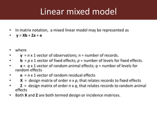 Improving accuracy by using information from relatives—The animal model