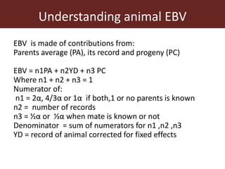 Improving accuracy by using information from relatives—The animal model