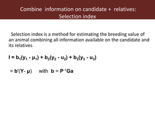 Improving accuracy by using information from relatives—The animal model