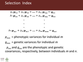Improving accuracy by using information from relatives—The animal model