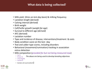 Developing innovative digital technology and genomic approaches to livestock genetic improvement in developing countries