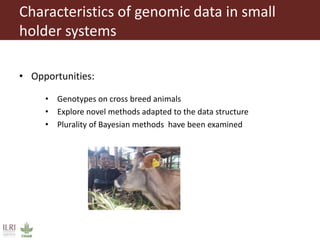 Developing innovative digital technology and genomic approaches to livestock genetic improvement in developing countries