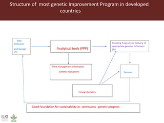 Developing innovative digital technology and genomic approaches to livestock genetic improvement in developing countries