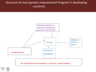 Developing innovative digital technology and genomic approaches to livestock genetic improvement in developing countries
