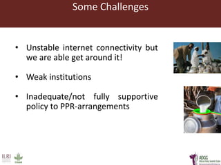 Developing innovative digital technology and genomic approaches to livestock genetic improvement in developing countries